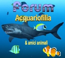 logo forum acquariofilia